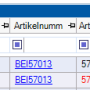 wareneingangsprotokoll.png