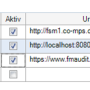fm-audit.png