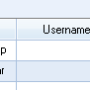 co_portal_url_einfuegen.png